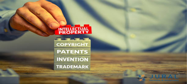 Legal experts